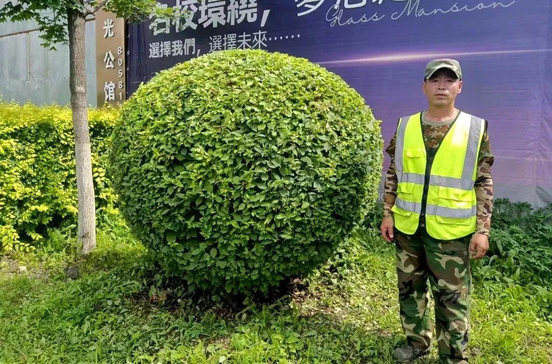 尊龙凯时·(中国集团)官方网站